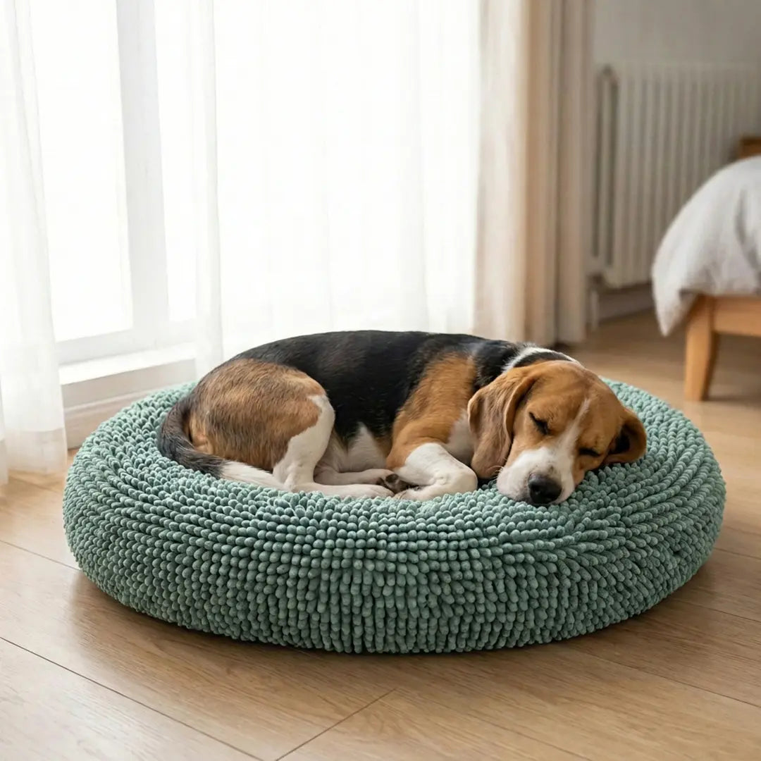 Best Anxiety Beds for Dogs｜Cloud Bed