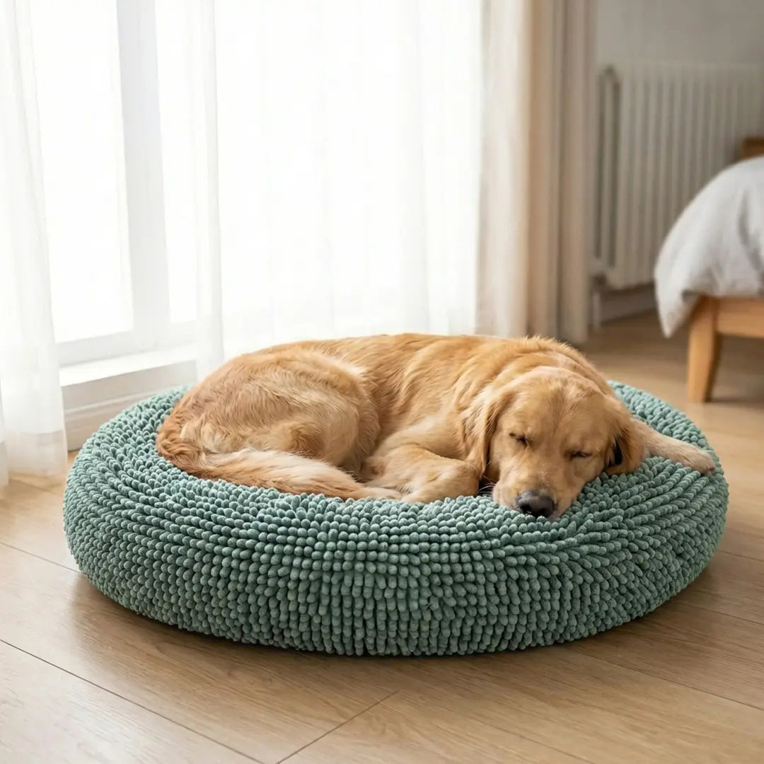 Best Anxiety Beds for Dogs｜Cloud Bed