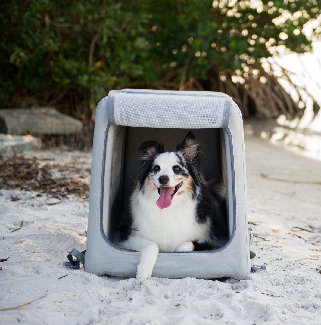 Refurbished Enventur Inflatable Travel Kennel