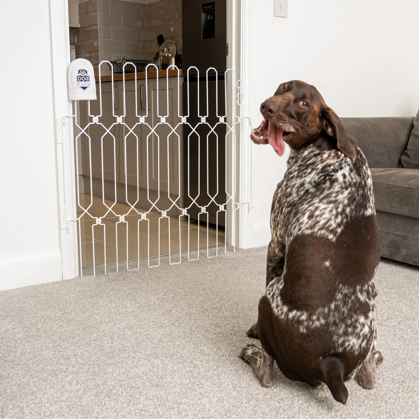 Ruannuan Front Doors for dogs