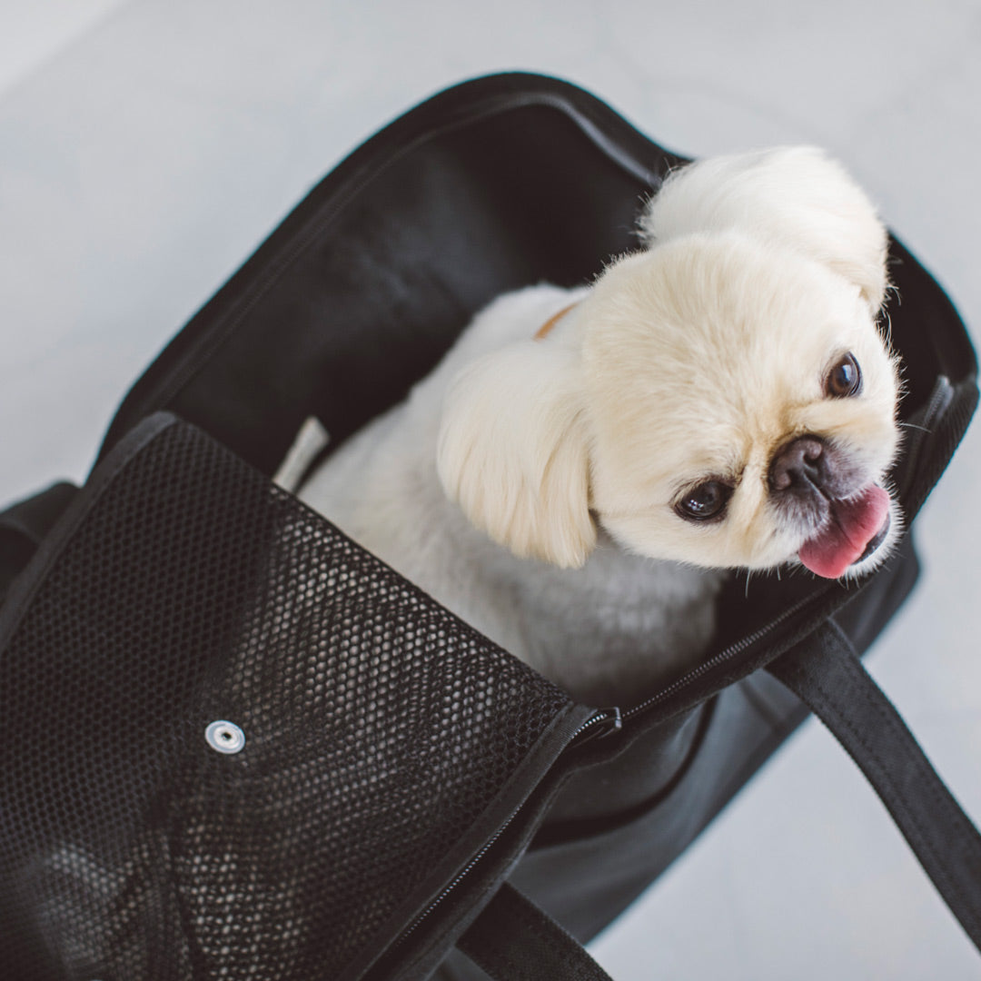Square Tote Pet Carry Bag