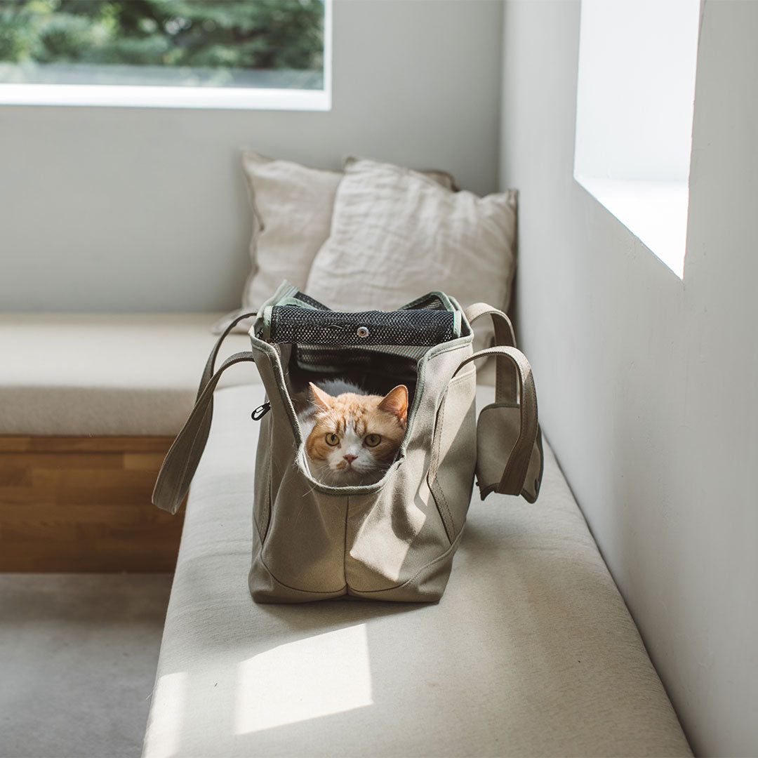 Square Tote Pet Carry Bag