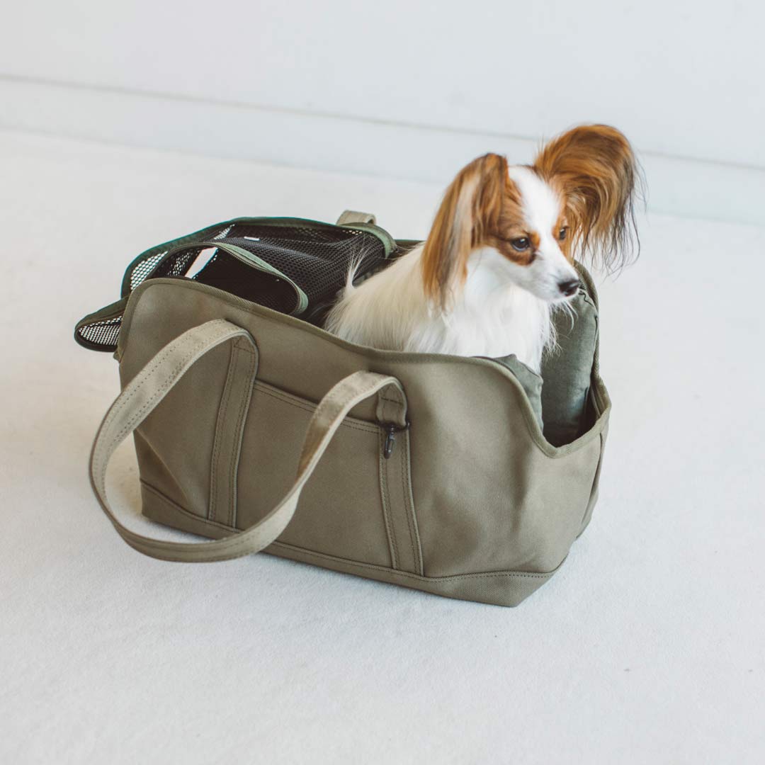 Square Tote Pet Carry Bag