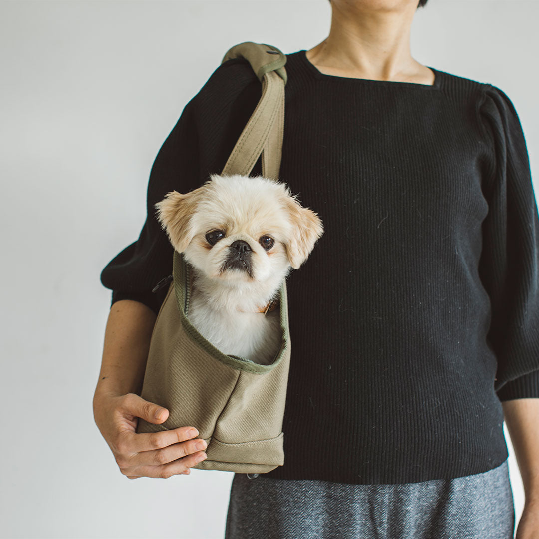 Square Tote Pet Carry Bag