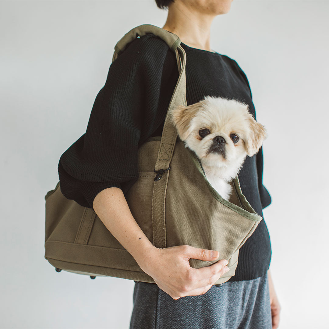 Square Tote Pet Carry Bag