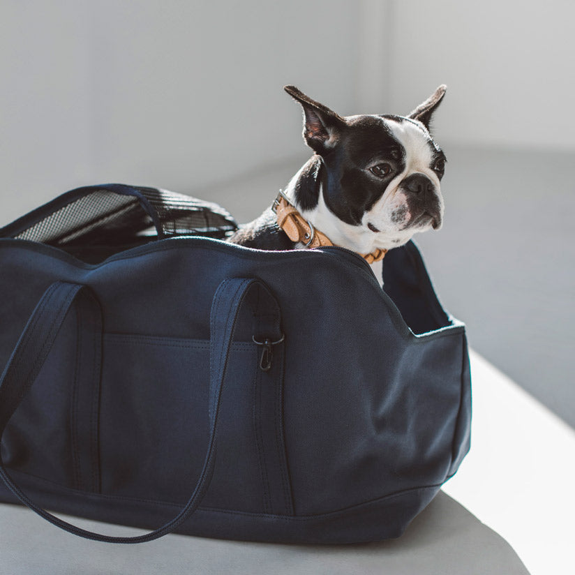 Square Tote Pet Carry Bag
