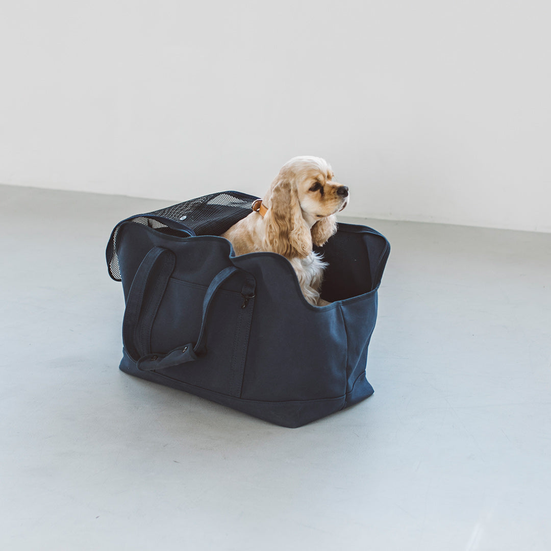 Square Tote Pet Carry Bag