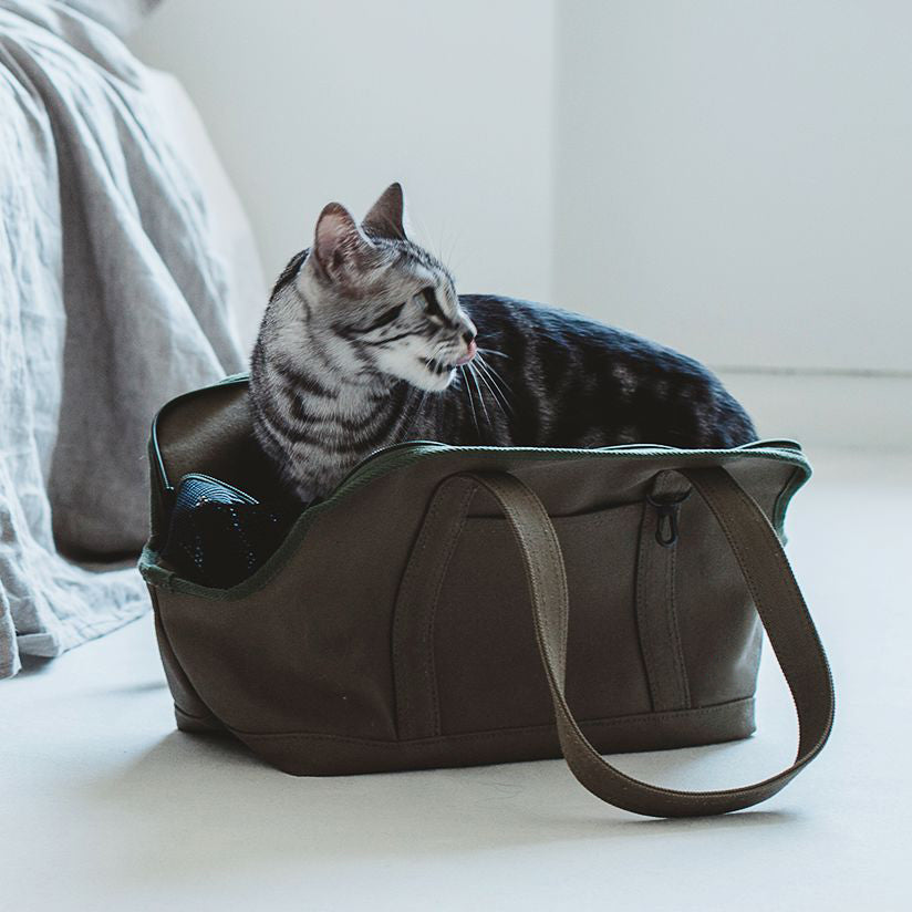 Square Tote Pet Carry Bag