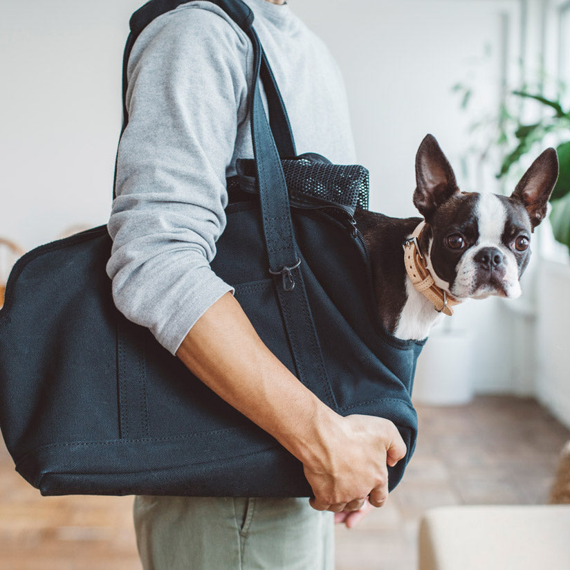 Square Tote Pet Carry Bag