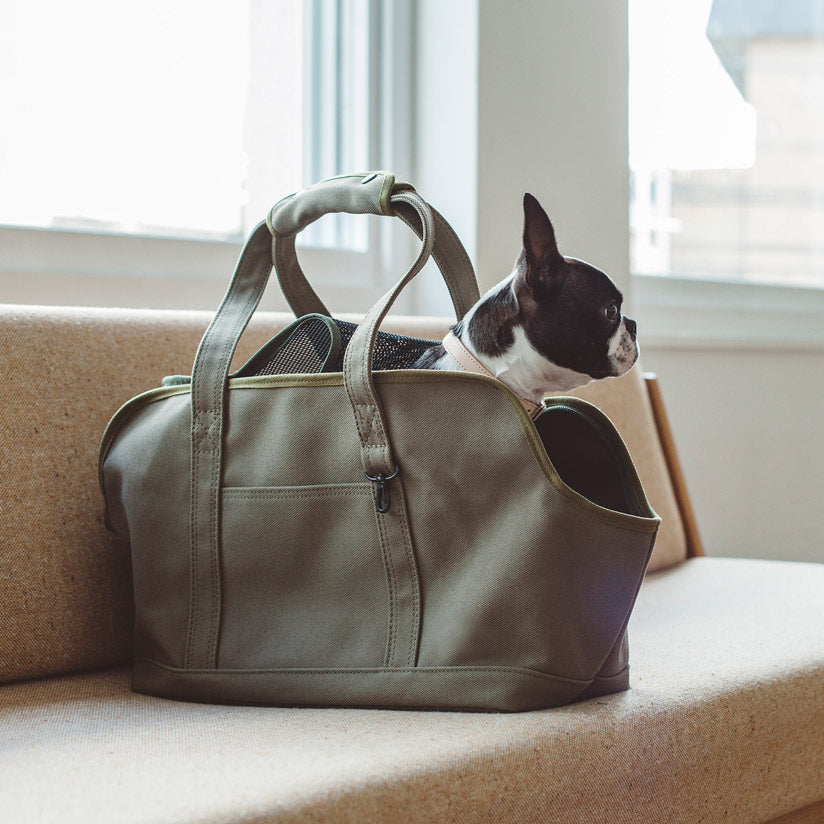 Square Tote Pet Carry Bag