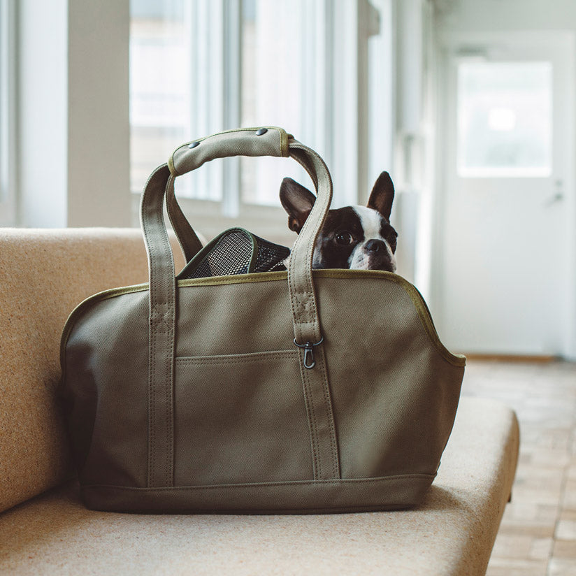 Square Tote Pet Carry Bag