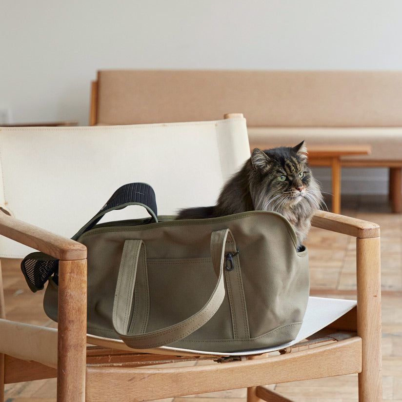 Square Tote Pet Carry Bag