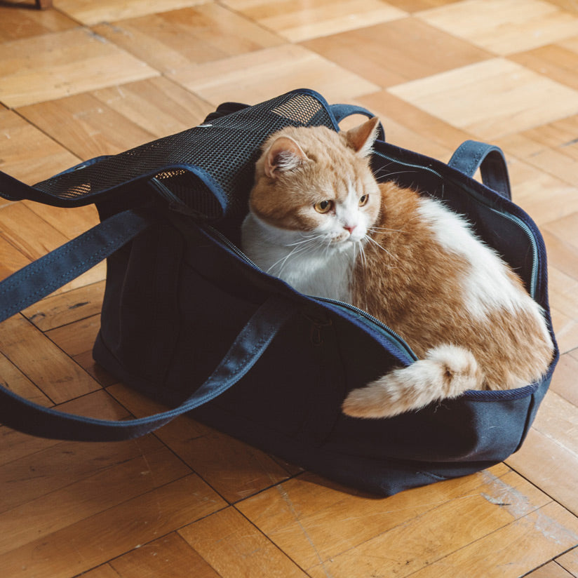 Square Tote Pet Carry Bag