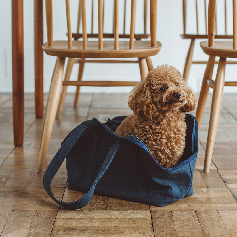 Square Tote Pet Carry Bag