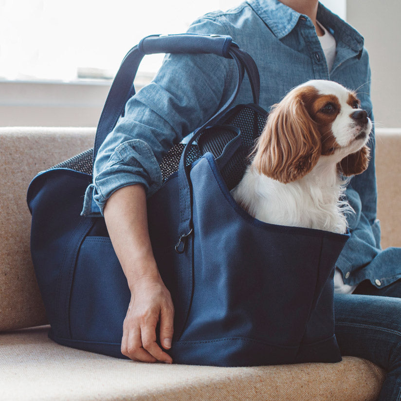 Square Tote Pet Carry Bag