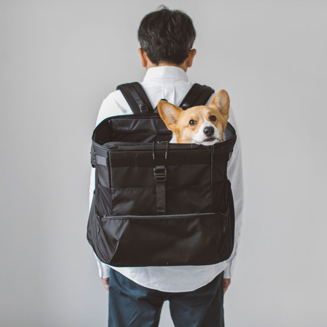 Comfortable Rucksack