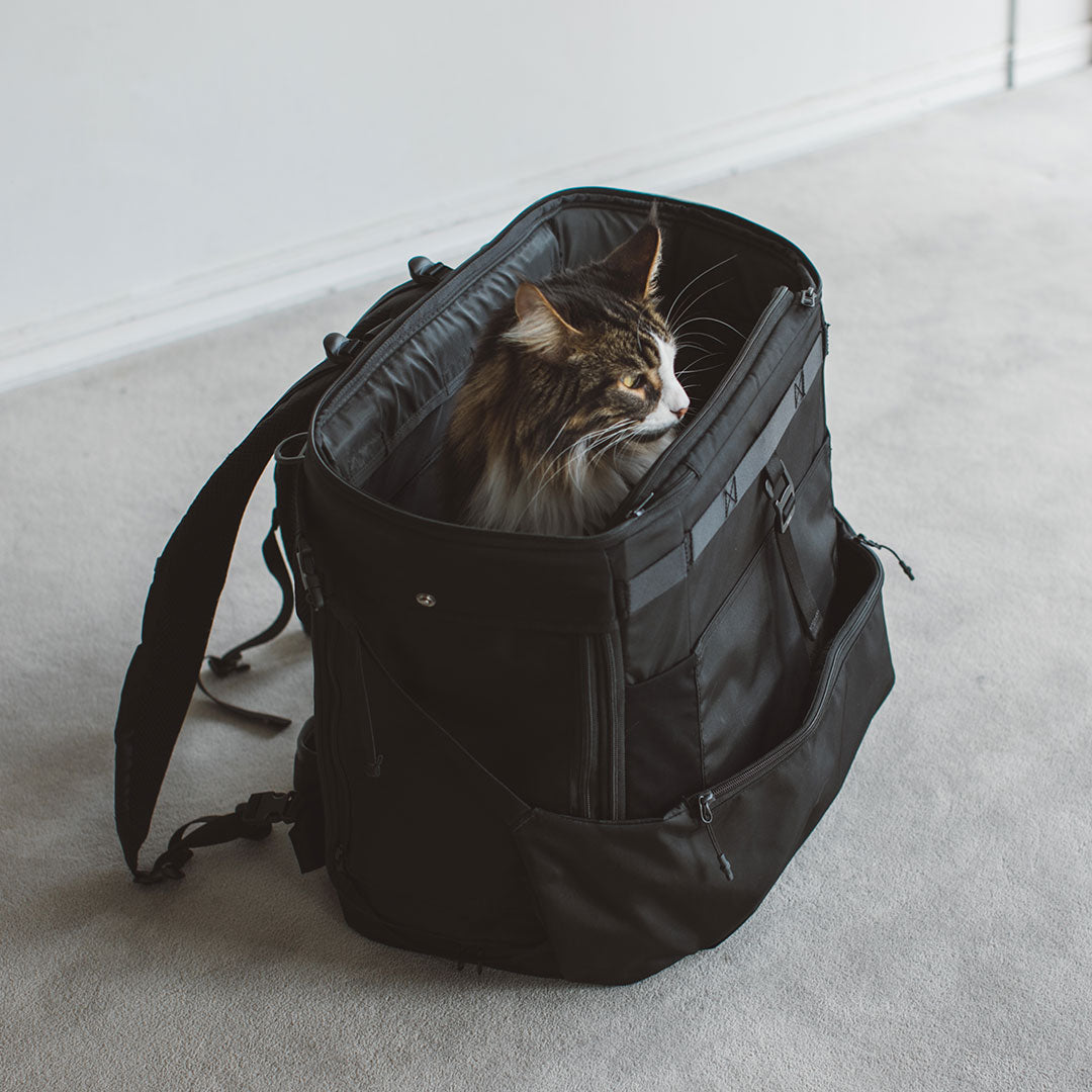Comfortable Rucksack