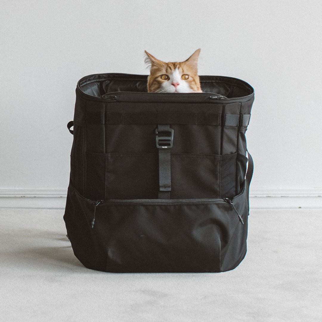 Comfortable Rucksack