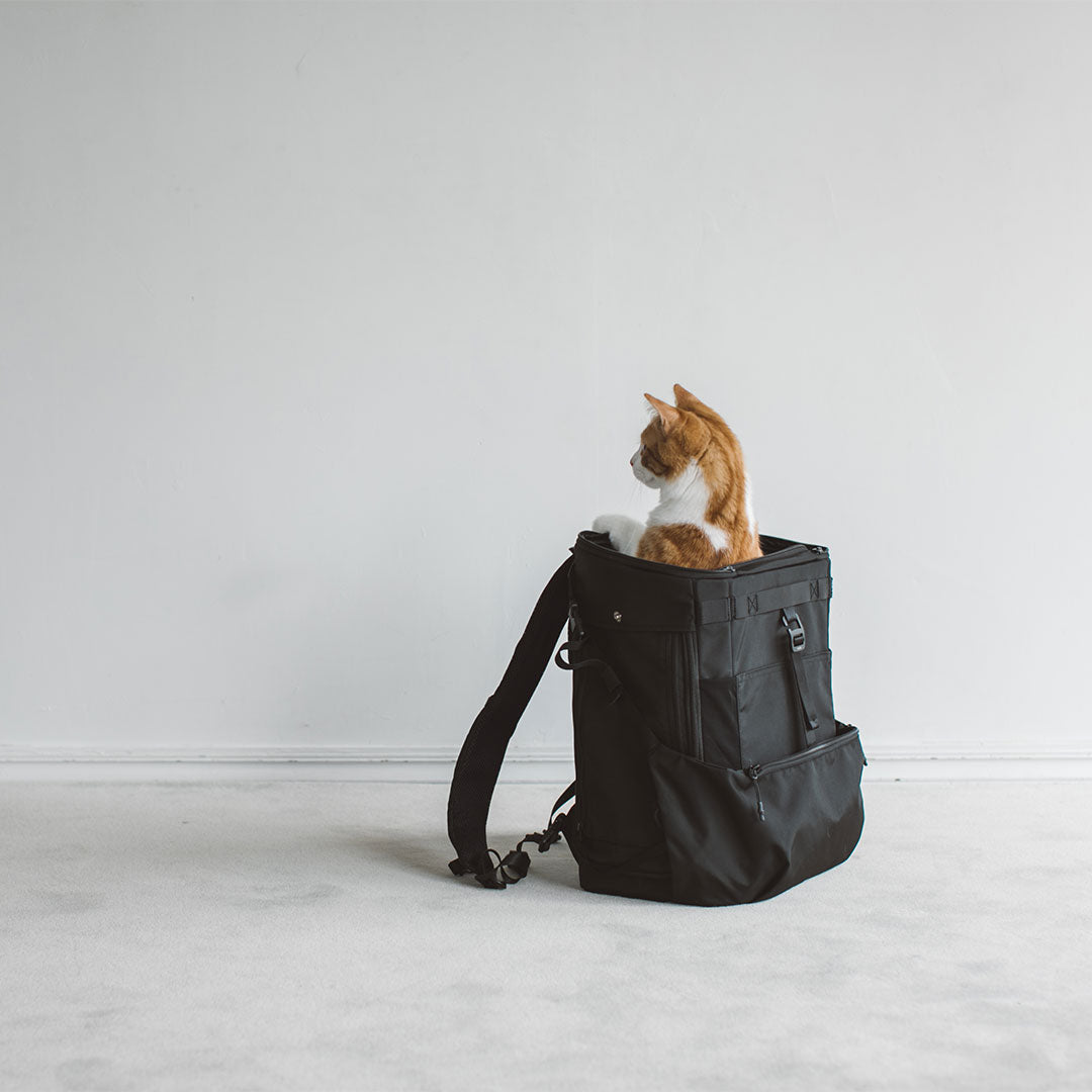 Comfortable Rucksack
