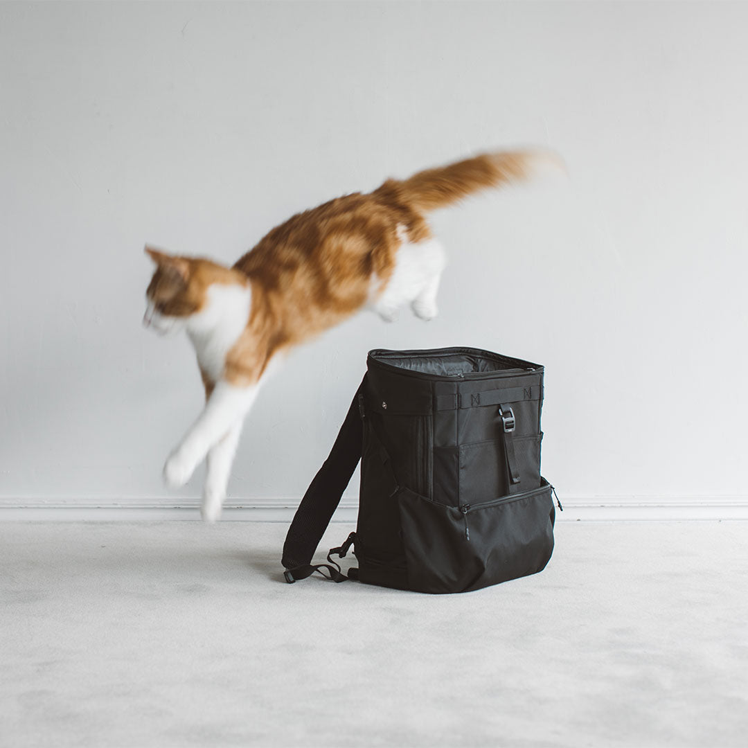 Comfortable Rucksack