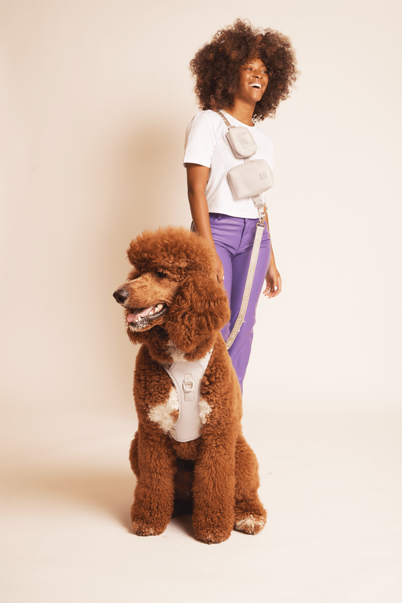 Go! With Ease Leash Bundle
