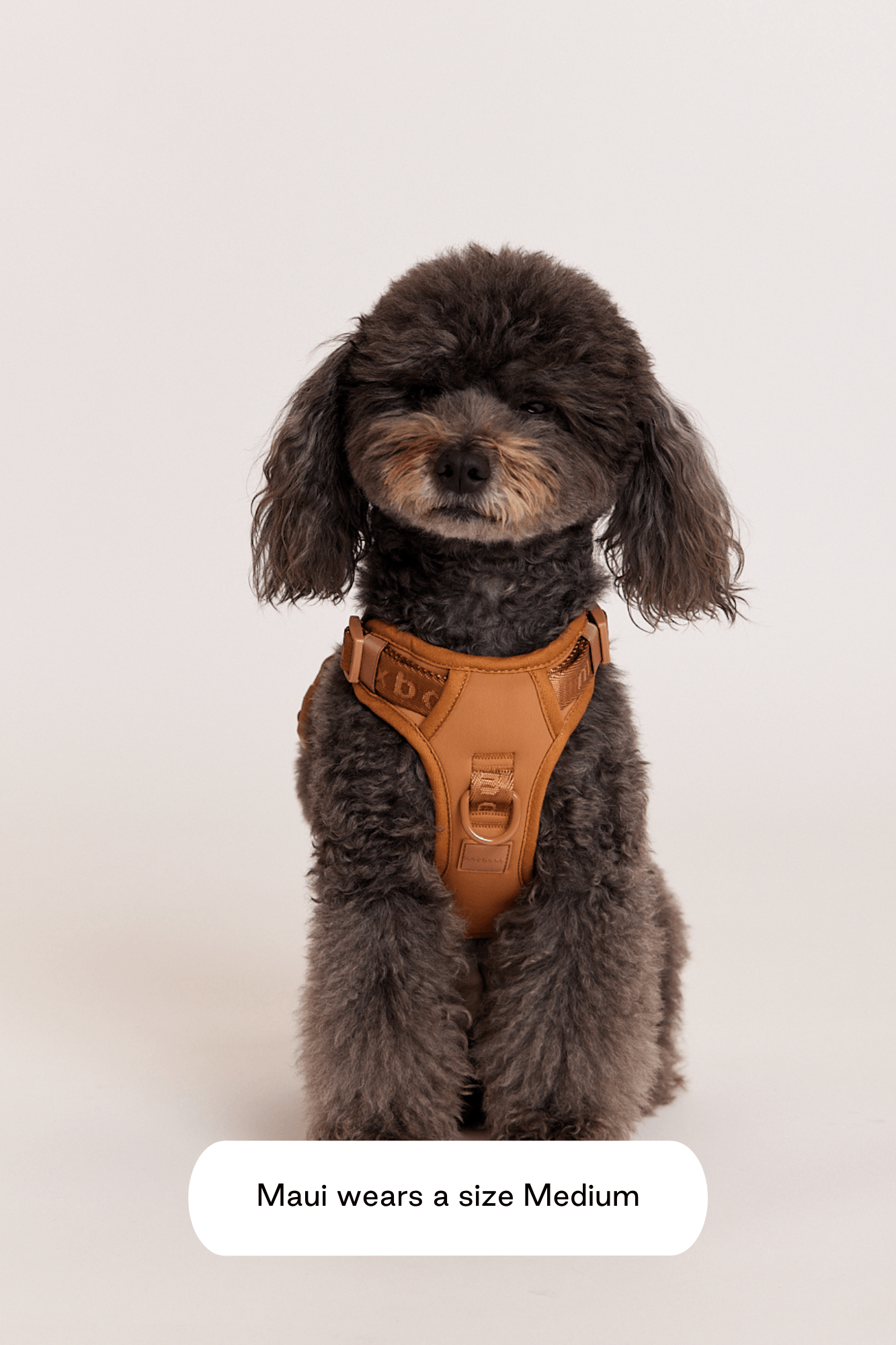 Go! With Ease Leash Bundle