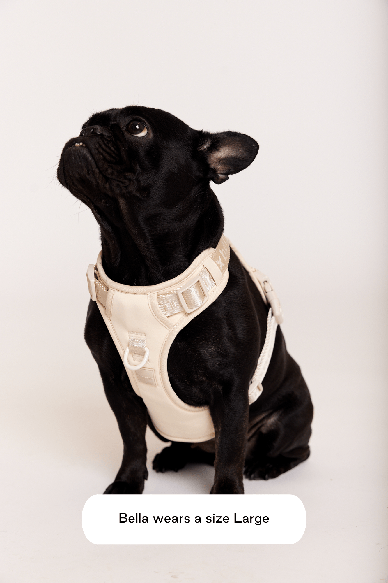 Go! With Ease Leash Bundle