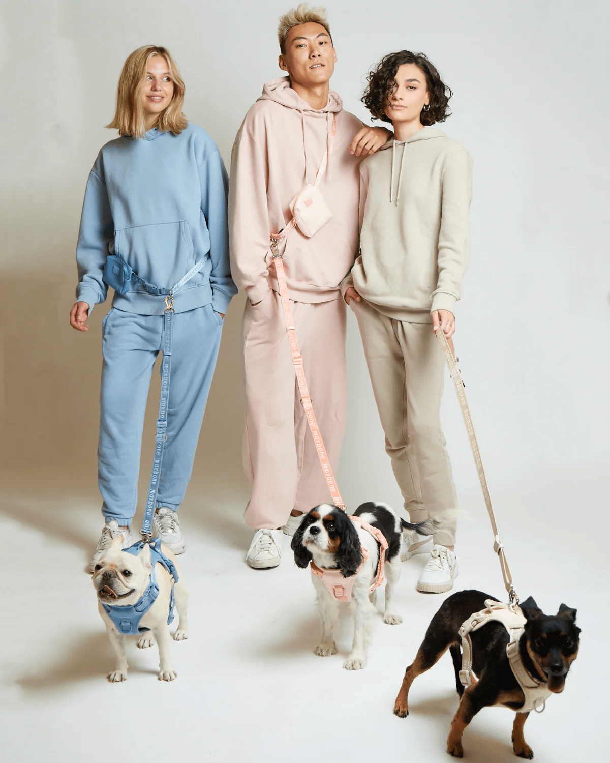 Go! With Ease Leash Bundle