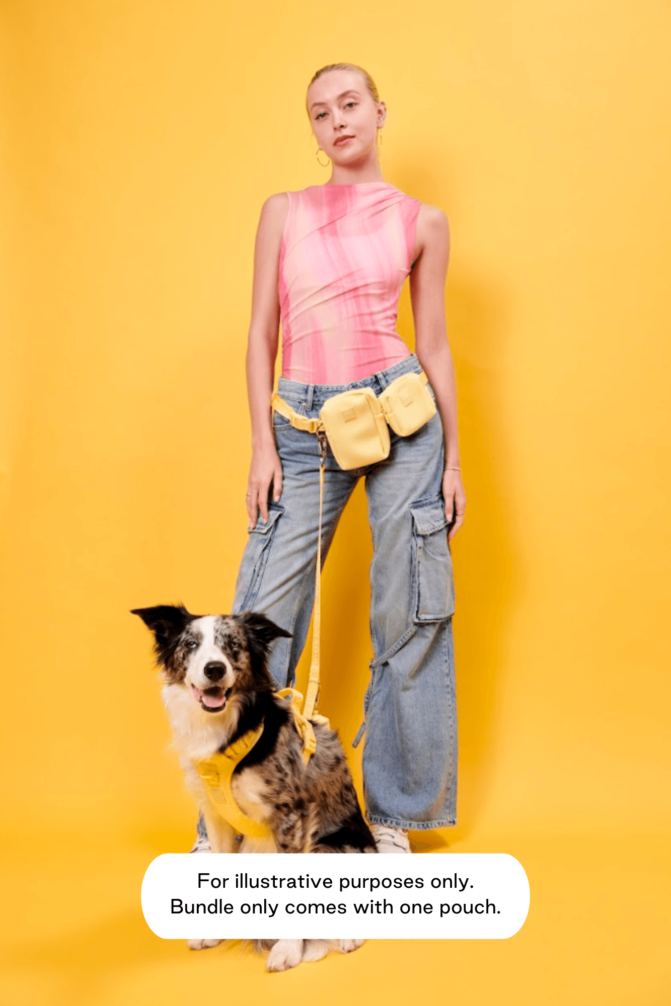 Go! With Ease Leash Bundle