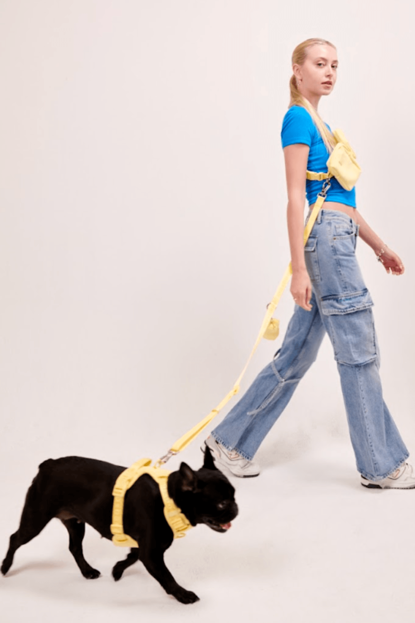 Go! With Ease Leash Bundle
