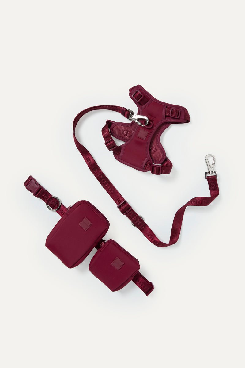 Go! With Ease Leash Bundle