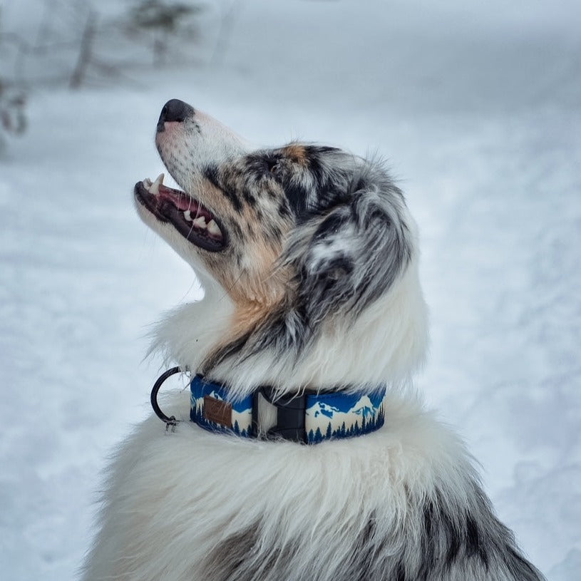 Blue Ridge Mountain Collar