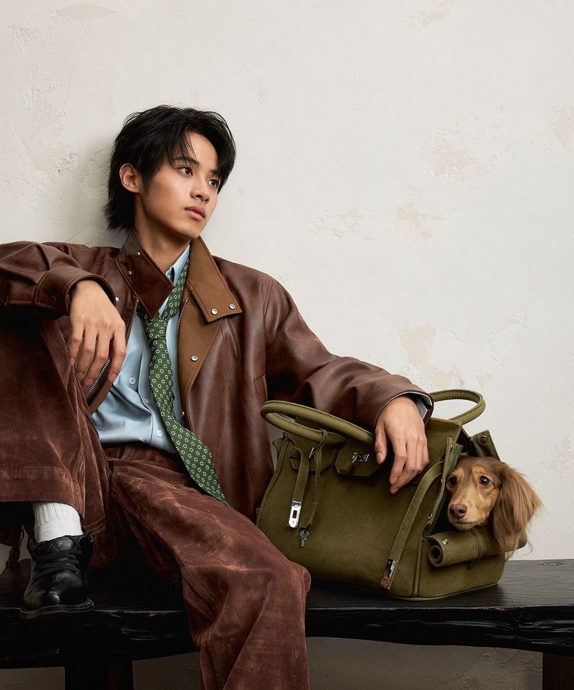 The Barkin Pet Carrier