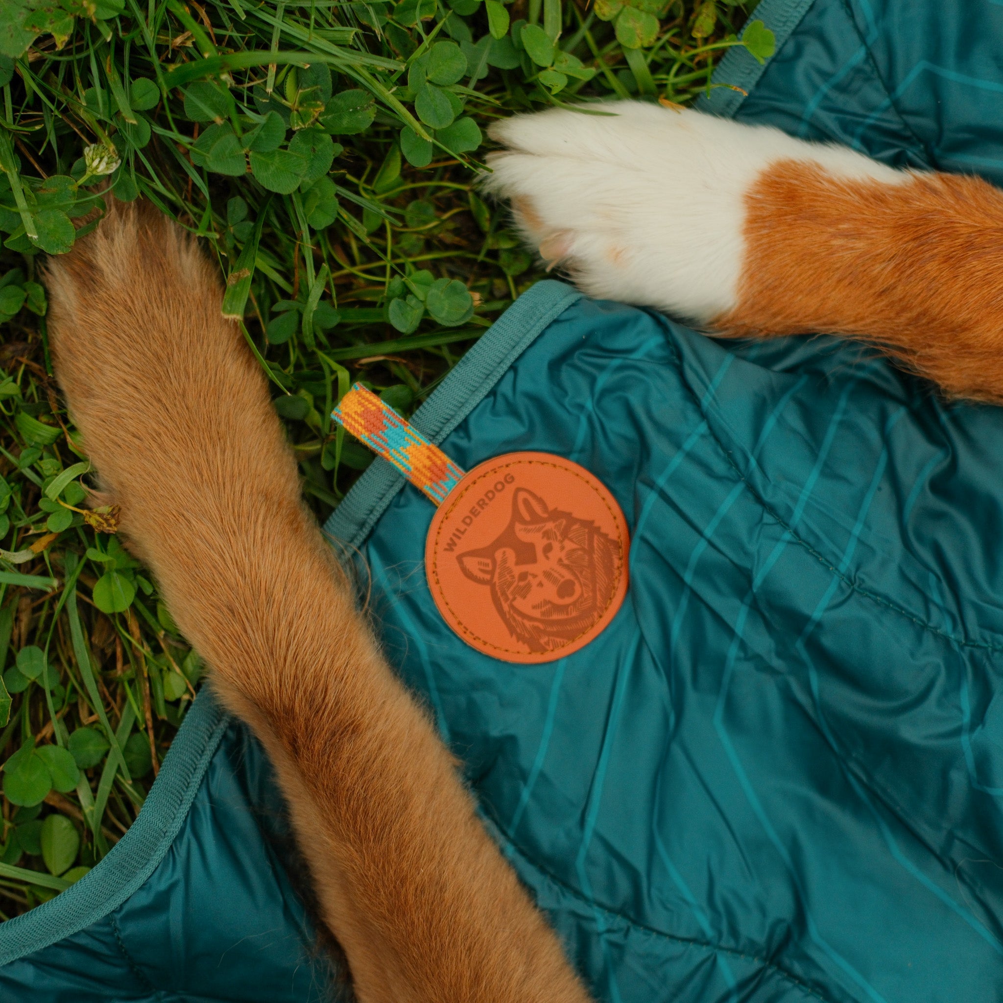 Picnic Blanket
