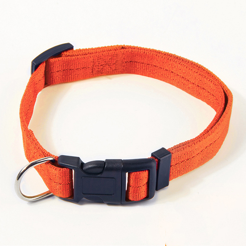 LED Safety Dog Collar – High Visibility Night Collar for Dogs