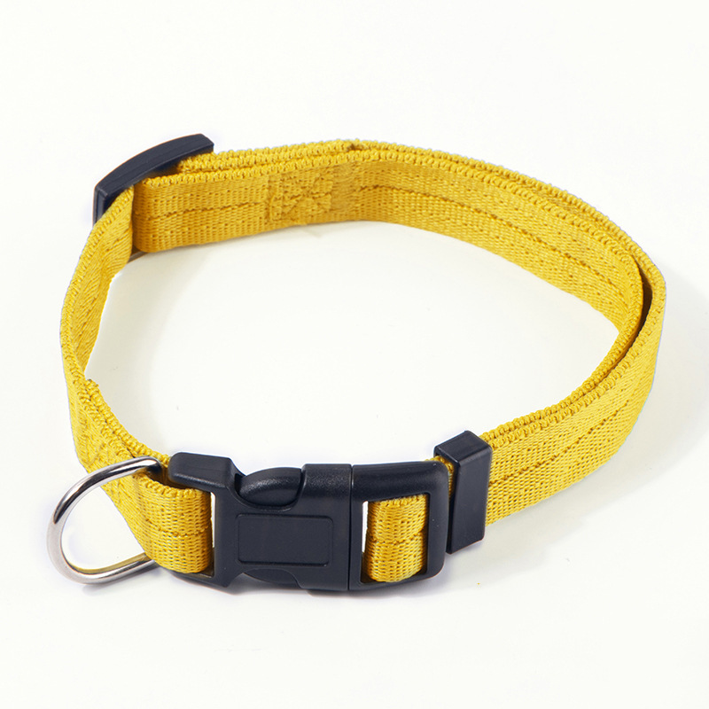 LED Safety Dog Collar – High Visibility Night Collar for Dogs
