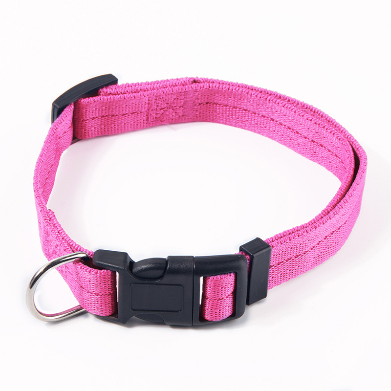LED Safety Dog Collar – High Visibility Night Collar for Dogs