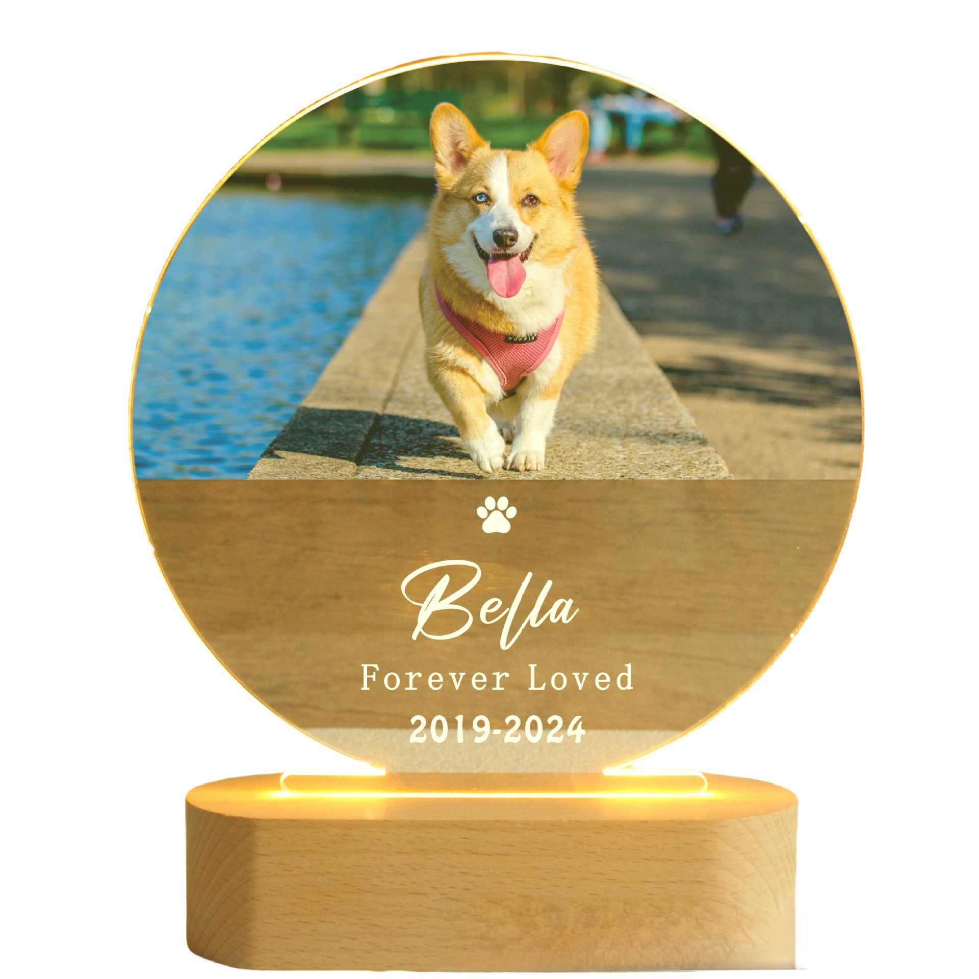 Personalized pet night light with custom name, decorative piece for bedroom or desk, commemorative gift for cats and dogs