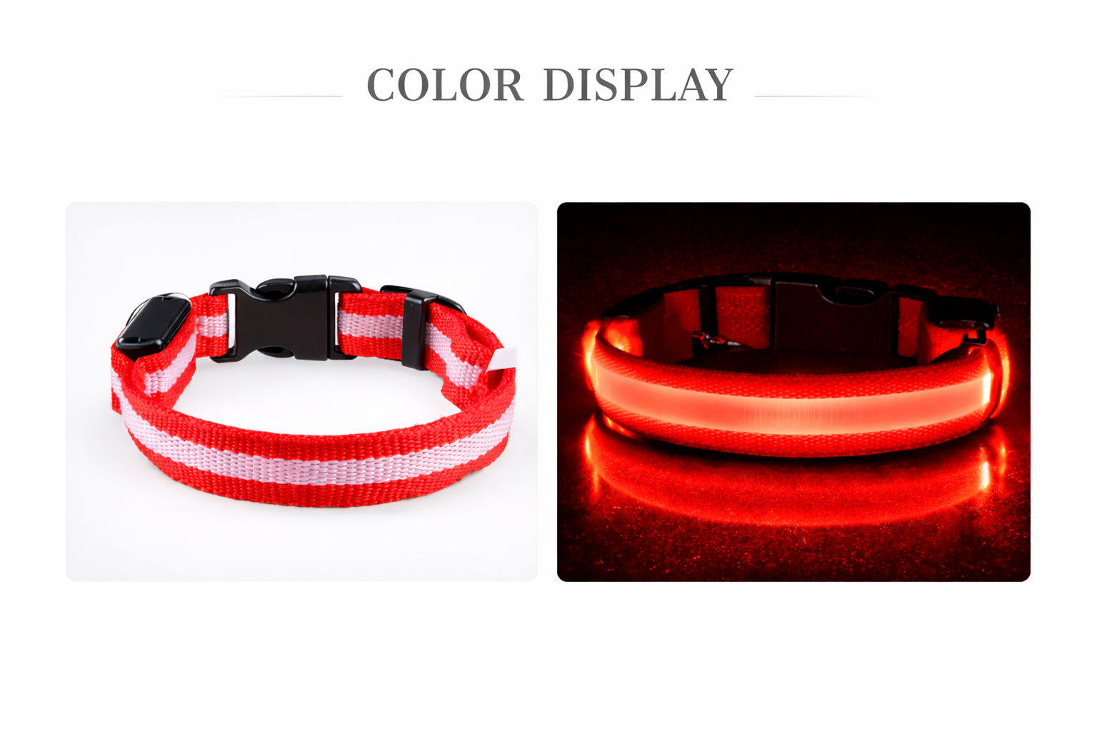 LED Safety Dog Collar – High Visibility Night Collar for Dogs