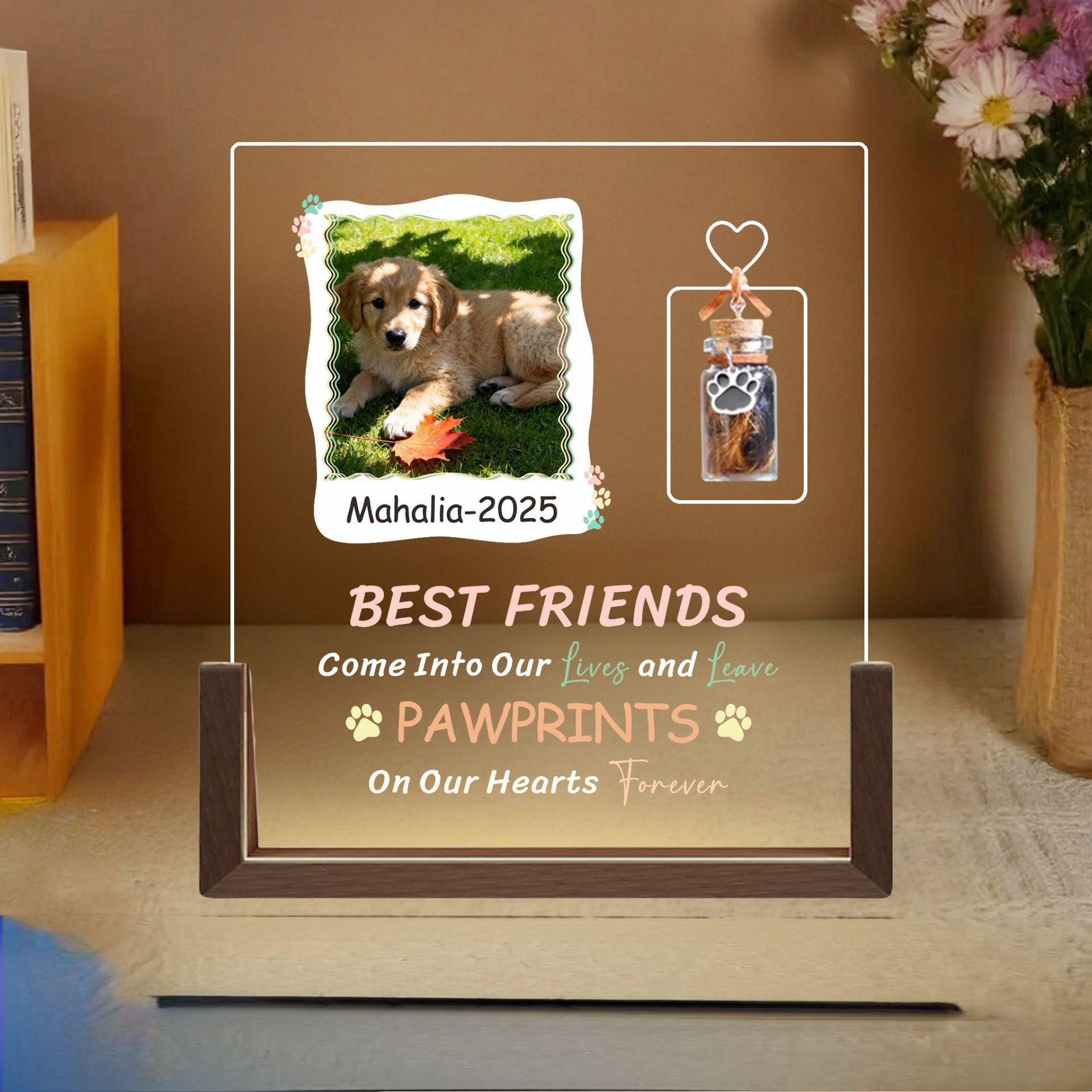 Personalized pet night light with custom name, decorative piece for bedroom or desk, commemorative gift for cats and dogs