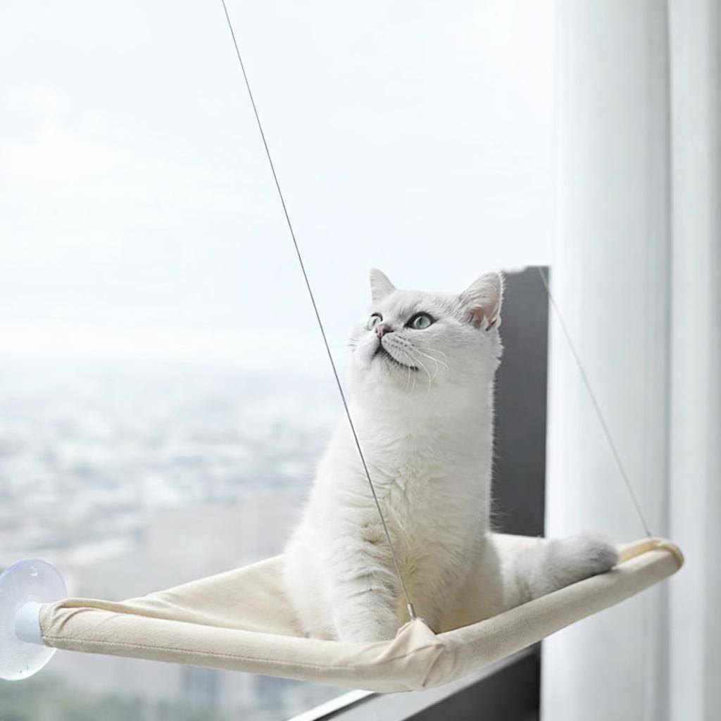 Elevated Window Cat Loung