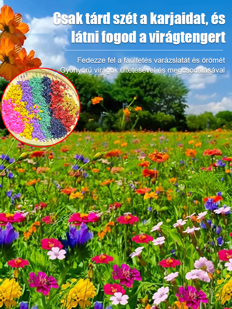 💐50 különféle virágfajta，Négyszezonos virágzás，Alkalmas a magyar éghajlatra,🏠 élettel töltve meg otthona környezetét.