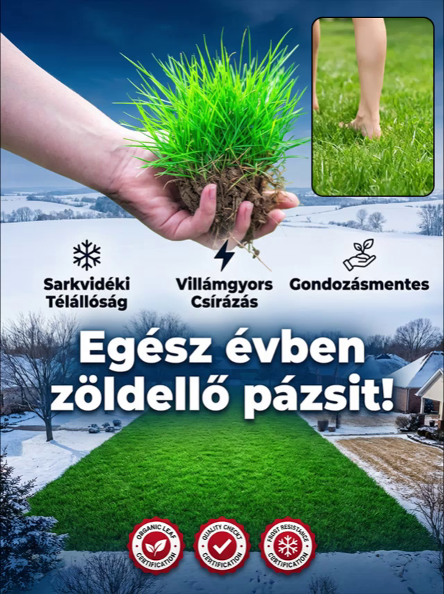 🌱【95%-os csírázási arány 】Importált gyepmag，Csak vízre van szükség，7 nap a csírázásig，🌲Egész évben zöld，Hő- és fagyálló