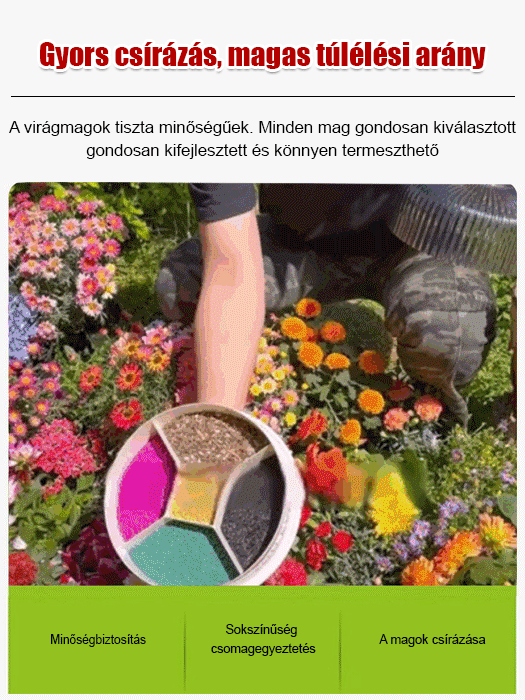 💐50 különféle virágfajta，Négyszezonos virágzás，Alkalmas a magyar éghajlatra,🏠 élettel töltve meg otthona környezetét.