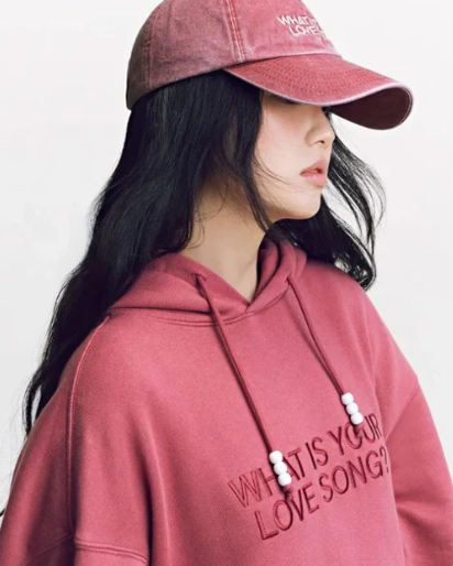 BTS Arirang What is Your Love Song Hoodie