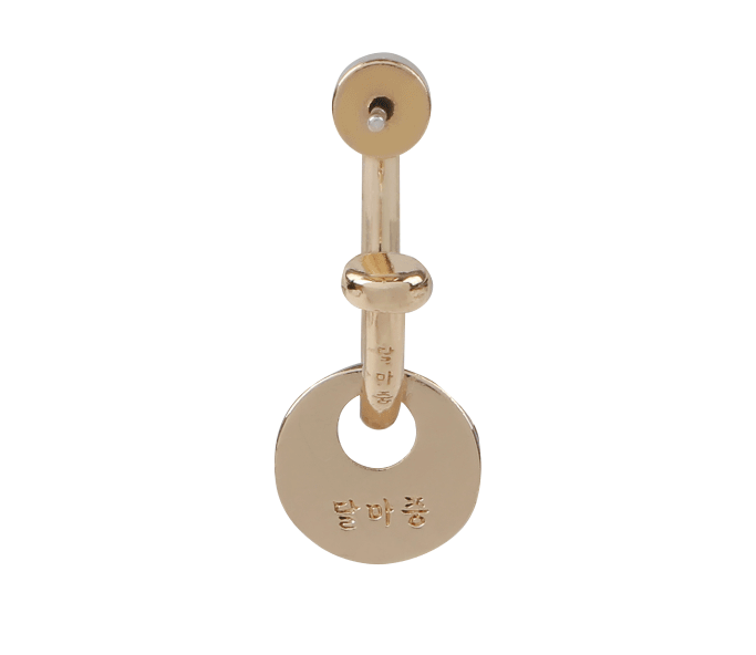 Earrings (gold)