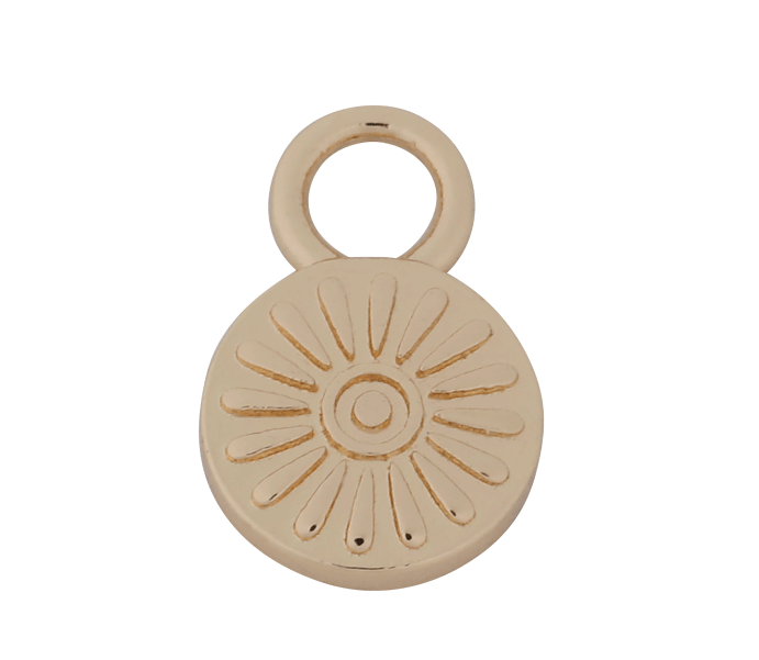 Earrings Charm Set (gold)