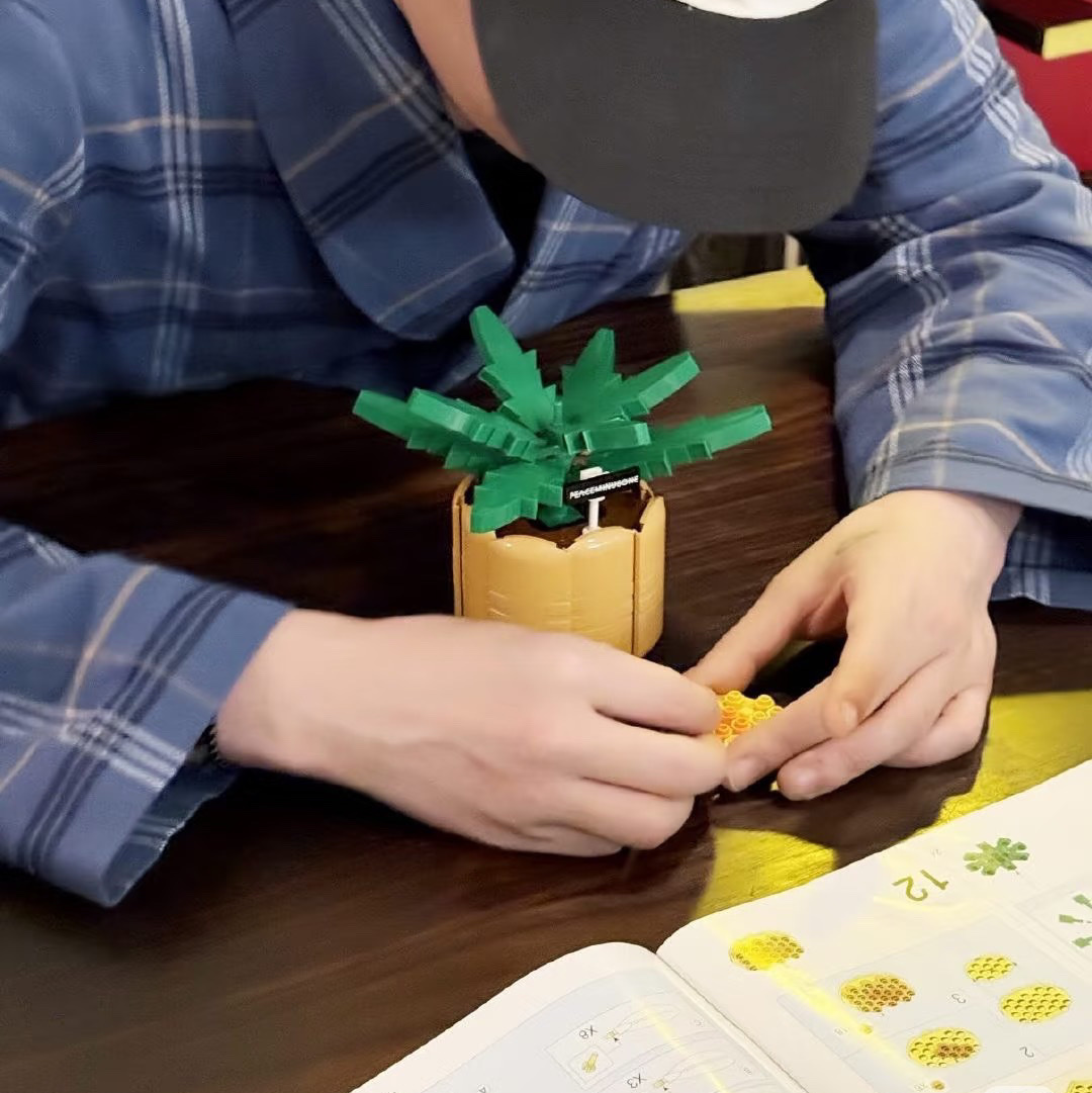 GD  G-DRAGON Daisy Building Blocks