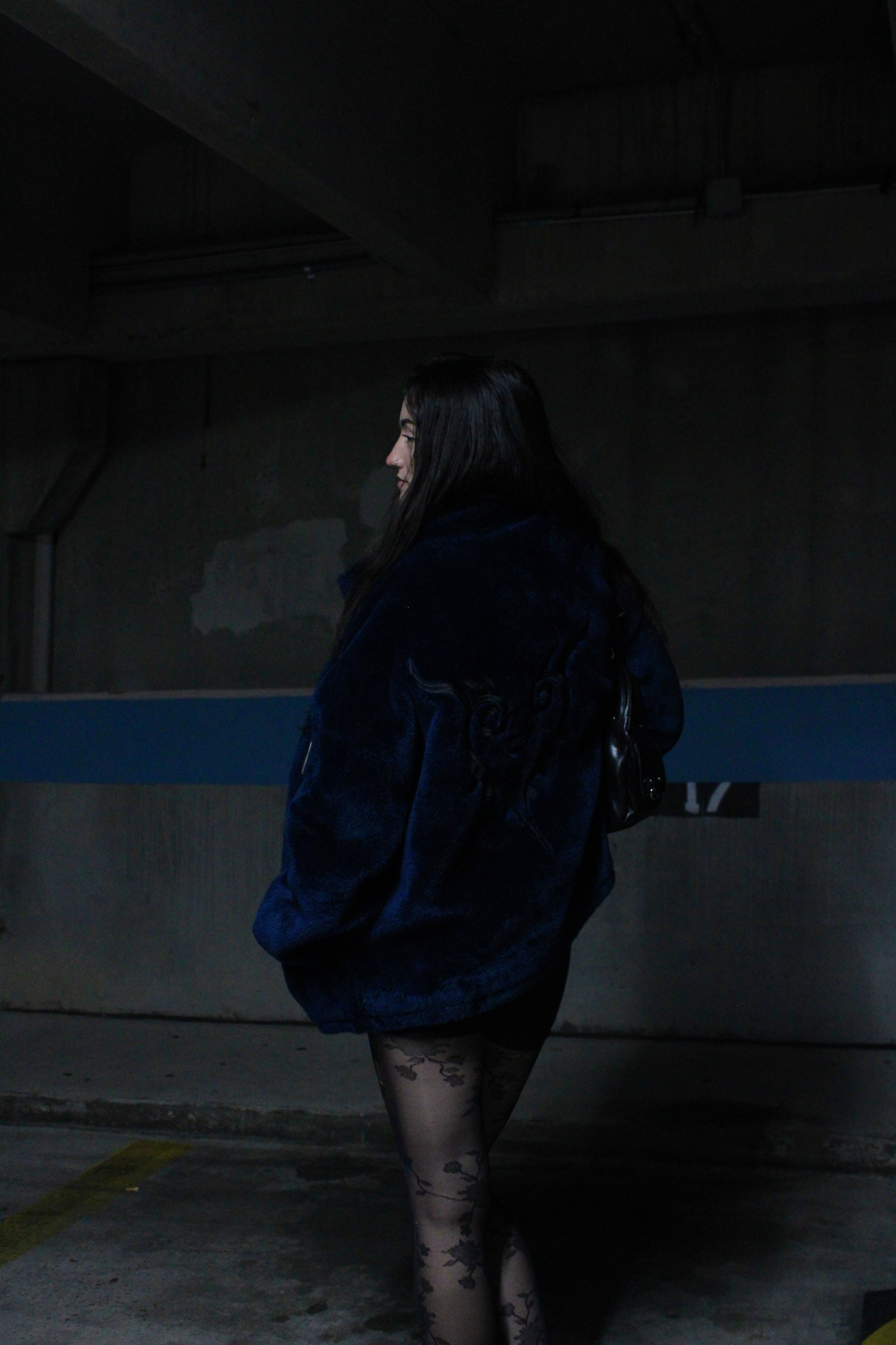 Law Sherpa (Pre-Order)