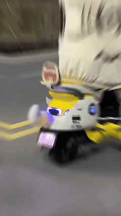 Voice-Controlled & Remote Wagging Car Tail 